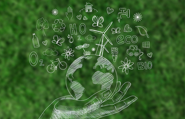 Reduce Your Carbon Footprint, Protect the Future
